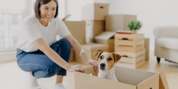 movers_in_houston